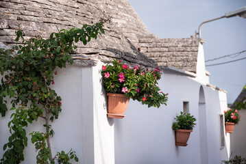 Fototapeta na wymiar Alberobello town in Italy, famous for its hictoric trullo houses