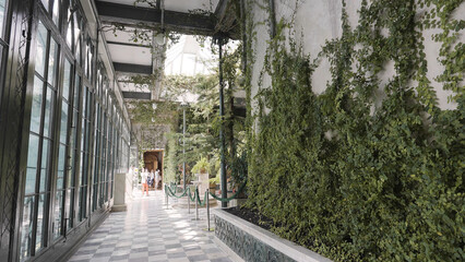 Interior of Botanical Museum. Action. Corridor in large building with ivy-covered walls. Inside museum or botanical garden building