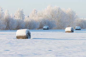 Lots of snow-covered hay bales on a field during a crispy cold winter evening in Estonia, Northern...