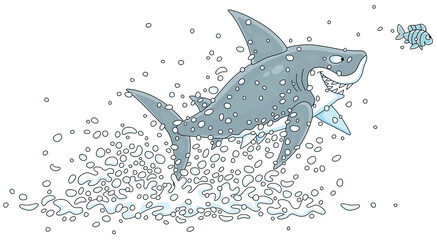 Funny great white shark and a small striped fish in splashes jumping out of water in a tropical sea, vector cartoon illustration isolated on a white background