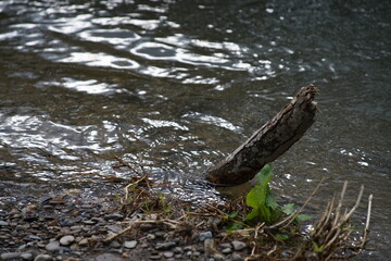 Hochwasser in einem Fluss, Zeichen des Klimawandels und der Klimafolgen