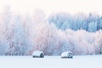 Lots of snow-covered hay bales on a field during a crispy cold winter evening in Estonia, Northern...