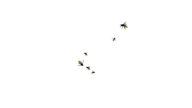 Hundreds of bees flying around creating a swarm Loop Green screen Background. Group of Flying Insect sharp, realistic, natural. Swarm of Hornet Wasps scary flying naturalistic, horror and Halloween