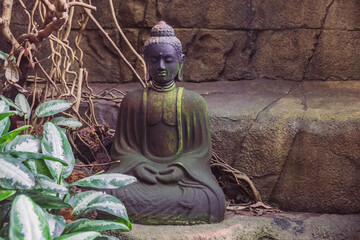 Randers, Denmark, March 2022: Buddha statue at tropical zoo