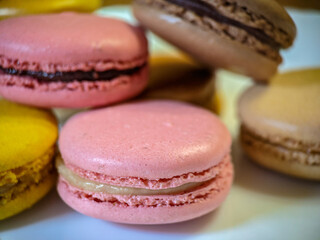 Colourful tasty macaroons still life