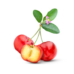 Acerola cherry with leaf and flower on white  background