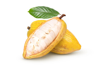 Yellow cocoa fruits isolated on white	