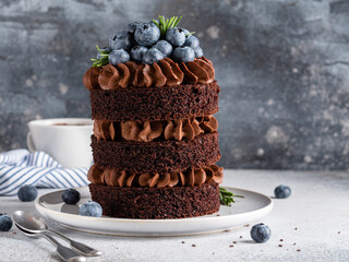 Chocolate cake with chocolate ganache (whipped cream) and fresh blueberry. Festive homemade layered...