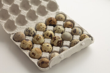 quail eggs in a tray