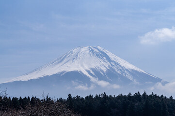 静岡県富士宮市朝霧高原からの富士山