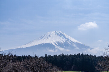 Obraz premium 静岡県富士宮市朝霧高原からの富士山