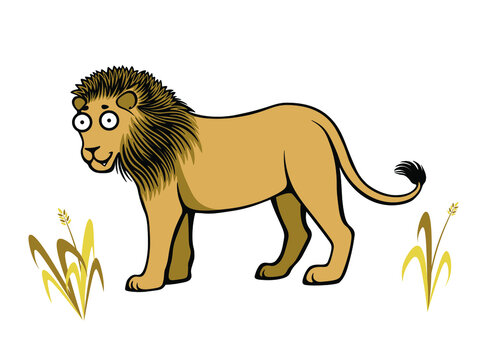 Cute carefree lion walking through dry grass