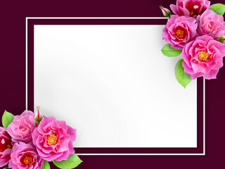Square frame of Pink blossom rose flowers. Template for greeting card, wedding or Valentine's day.