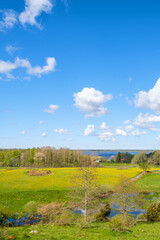 Rural landscape view with blooming meadows in spring