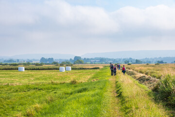 Fototapeta premium Group of people on an excursion in the countryside