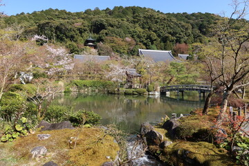 Hojyo-chi Pond in the precincts of Zenrin-ji Temple in Kyoto City in Japan 日本の京都市にある禅林寺境内の放生地