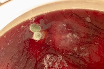 Red compote with mold in a saucepan, background with streaks and bubbles - obrazy, fototapety, plakaty