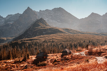 Beautiful summer day on Gasienicowa valley in Polish Tatra mountains. Trekking. Hala Gasienicowa (Valley Gasienicowa) in Tatra mountains in Zakopane, Poland.