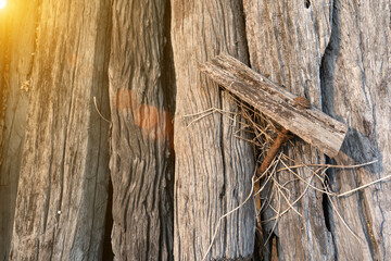 Lots of old wooden posts and old rusted nuts.