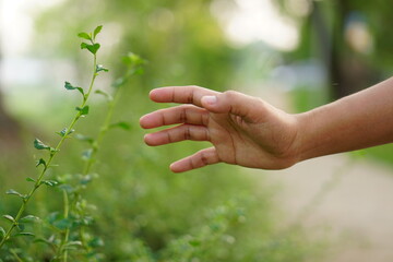 human hand touching grass. concept of saving the world