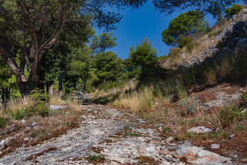 Fototapeta na wymiar Rocky slope footpath up hill into the forest