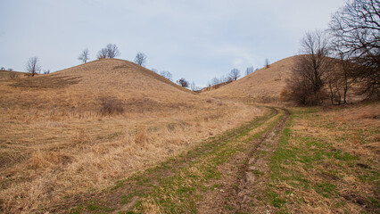Obraz premium Countryside Nature Landscape. Desert-like Relief. Hills and Fields, Pasture Area, Early Spring Seasons. Cloudy Day. Dry Grassy Vegetation. Zagacija Hills. Deliblato Sands. Serbia. 
