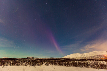 Fototapeta na wymiar Aurora boreale in Lapponia. ad Abisko in Svezia