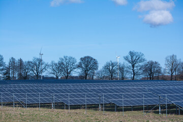Fototapeta na wymiar Solar panels on a field on a sunny day in spring