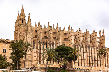 Obraz premium Palma in Palma de Mallorca