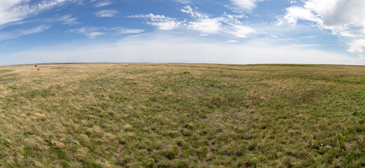 Fototapeta na wymiar The Pre - Ural steppe (Orenburg nature reserve). Orenburg region, Southern Urals, Russia.