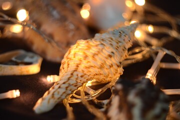 photo with a shell and a garland