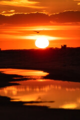 Vibrant orange sunset reflecting in a tidal pool on the beach. Jones Beach, Long Island New York (soft selective focus)