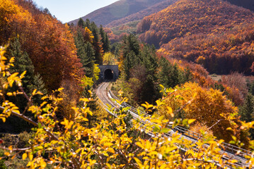 Railway with a tunnel on bridge passing in autumn forest in mountains