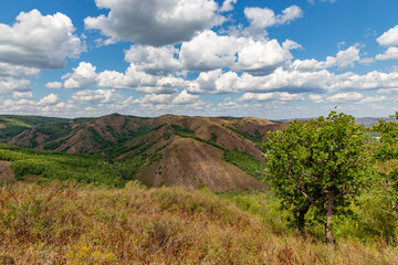Shaitan-Tau nature reserve (oak forest). Orenburg region, Southern Urals, Russia