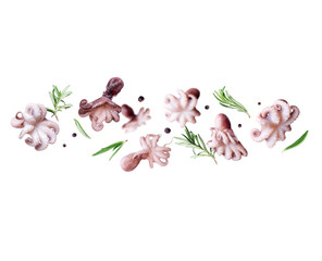 Small octopuses with rosemary in the air isolated on a white background