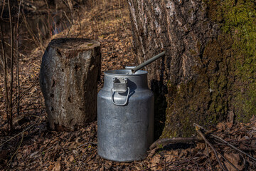 Birch. Birch juices run in an aluminum can. Strain..