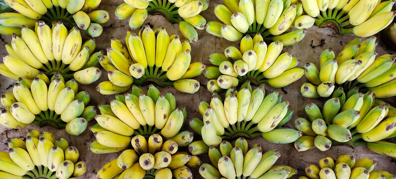 Bunches of ripe and half-ripe bananas kept for sale in a market