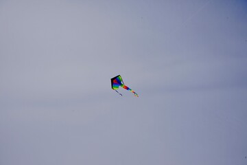 Fototapeta na wymiar kite flying in the sky