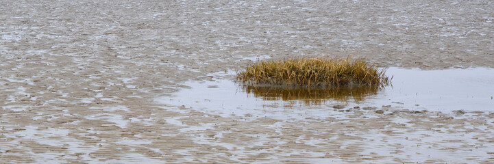 Ebbe an der Nordseeküste