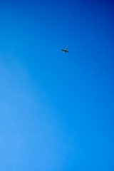 Petit avion dans le ciel .