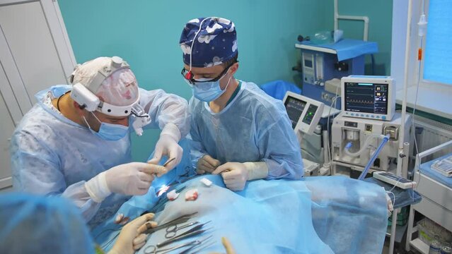 Operating the patient in the modern surgery room. Two doctors work using metal tool laid on the body of a patient.