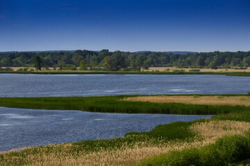 Przemkowski Landscape Park in western part of Poland with lakes and ponds  Przemków Fish Ponds Nature Reserve