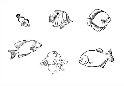 set of cartoon fishes