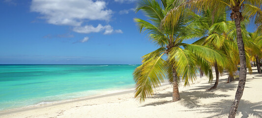 beautiful beach with palm trees