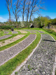 Circular design for a vegetable garden. The planting beds are separated from each other by grass strips. De Wiershoek, Groningen, Netherlands
