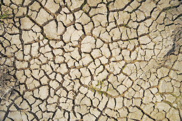 Cracked broken surface of desert, top-view