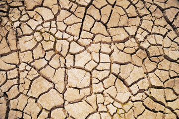 Drought cracked ground, top-view