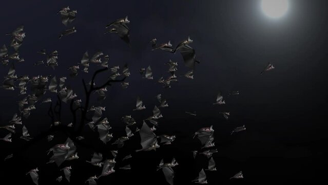 Halloween black flying bats Loop animation on a green background horror, Halloween, grunge, fairy-tale, fantasy, magic and witchery projects as dramatic, spooky and scary background