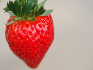 美味しくて可愛い苺のクローズアップ