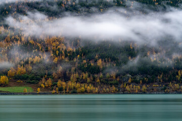 Beautiful yellowed leaves on the trees during the fall at the turquoise lake